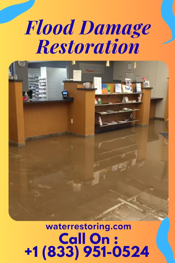 Flood Damage Restoration in Surfside Beach, SC