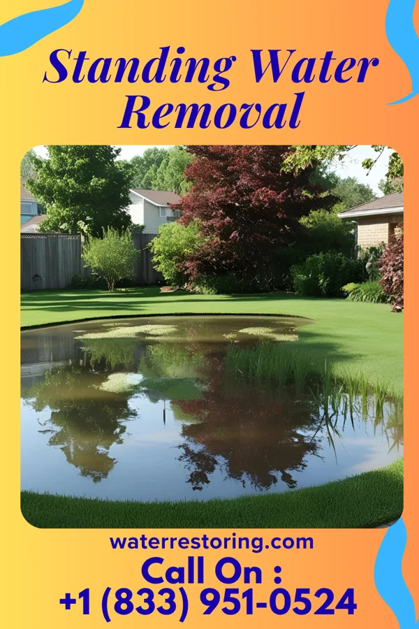 Standing Water Removal in Surfside Beach, SC